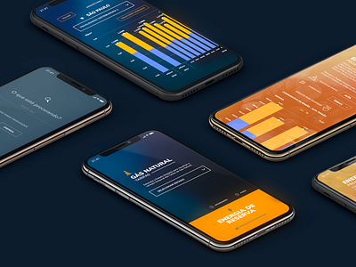 ABRACE dashboard design ui ux web web design