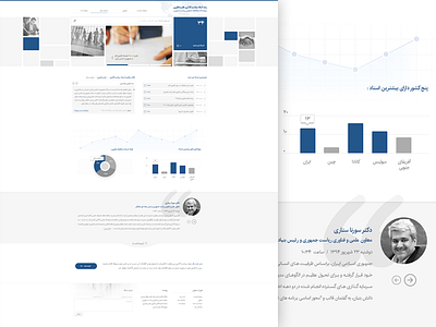 IRAN NANO brick chart election histogram nano policy political presidency