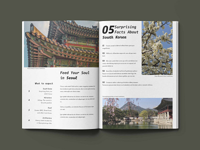 Seoulful Magazine adventure design illustration layout magazine minimalistic modern page page layout photography seoul south korea travel zine