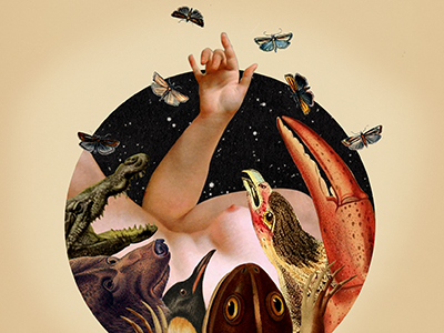 Origin Of Species book cover collage darwin illustration publication science