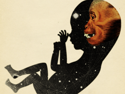 Fetal Position darwin evolution illustration