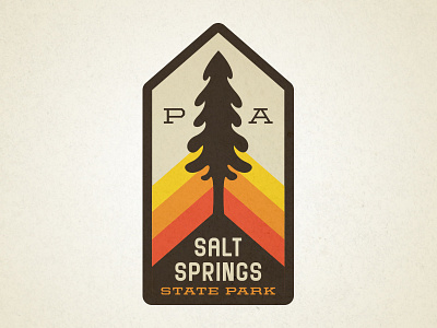 Salt Springs badge park patch pennsylvania