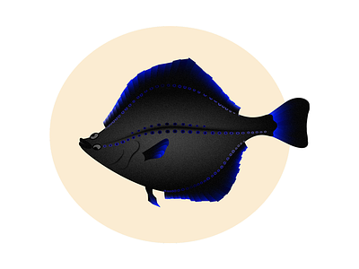 Starry Flounder affinity designer animal animal art fish flounder gradients illustration vector vibrant