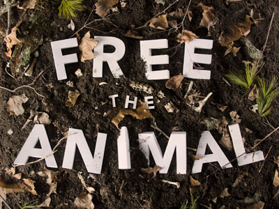 Free the Animal