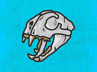 Panther Skull animal cartoon design football icon illustration logo nfl panthers skull sports