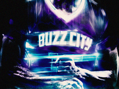 Buzz City Experiment basketball buzz city charlotte hornets nba