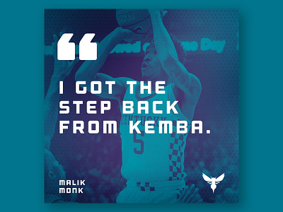 Hornets Quote-Graphic Layout animation basketball buzz city charlotte hornets layout malik monk motion nba quote