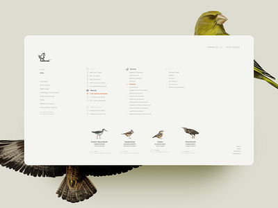 Rubecula.eu bird branding browsertool design filter graphic design illustration interface logo onlinetool smartfilter ui web webtool