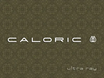 Caloric Oven branding classic old school oven pattern retro