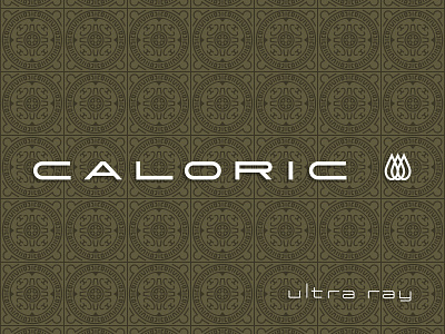 Caloric Oven 