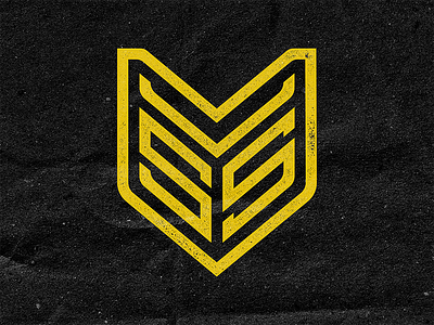 VSS Logo Concept