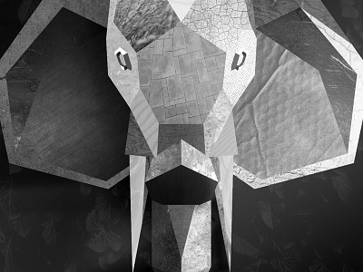 White Elephant album black and white cd collage design elephant illustration texture