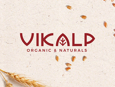 Logo Design for Vikalp organic & naturals branding flat design freelancer graphicdesign identity design illustration logo logodesigner typography vector