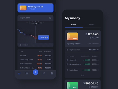 Money organiser app concept