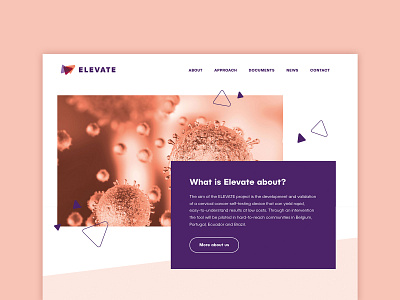 Elevate homepage webdesign
