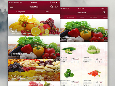 Vellman App ( Online Food Order and Tracking App ) design experience food graphics grocery ios online truck user vegetable