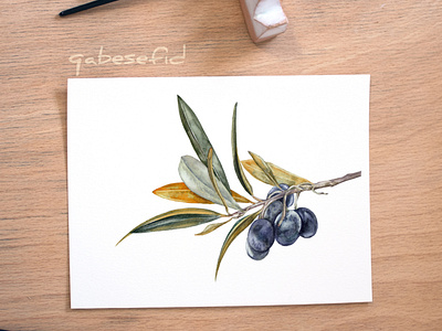 olive branch watercolor