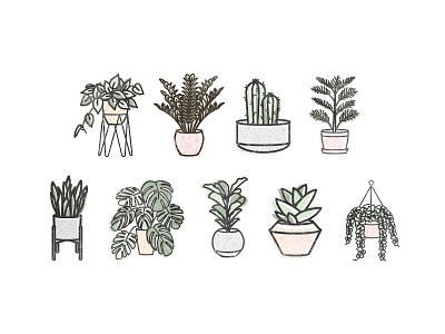 Plant Icons cacti decor devils ivy freelance green icons illustration mid century modern pastel plant stand plants snake plant succulents vector
