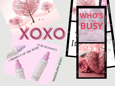 XOXO branding content design graphic design illustration typography