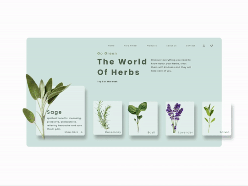 The World of Herbs 🌱 design ui