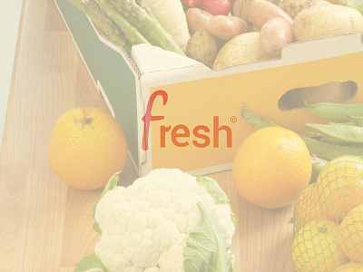 fresh Identity branding fresh identity logo logotype typography