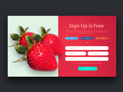 Strawberry Sign Up design designer graphics strawberry ui ux web