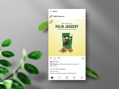 Palm Jaggery Ad Video advertisement animation design digital marketing facebook graphic design illustration instagram marketing motion graphics organic food