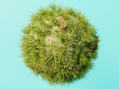 Grass Globe 3d blender cycles modelling organic procedural rendering scatter