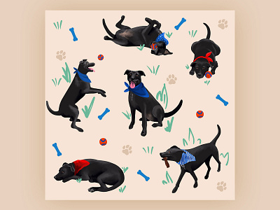Hank animal dog dogs illustration procreate procreate app procreate art