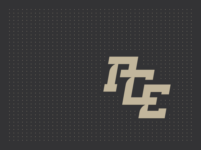 ACE sports apparel logo by Harrison Schell on Dribbble