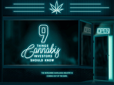 Cannabis Infographic Header cannabis dark glow infographic marijuana neon reflection retail script shop storefront weed