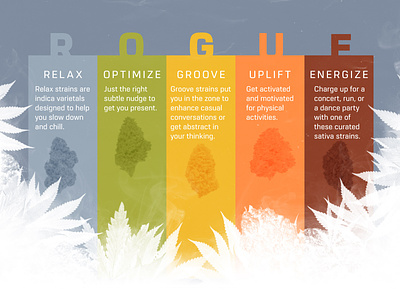 R O G U E adobe advertise bud cannabis graphic grow grow rogue infographic leafs marijuana product strains weed