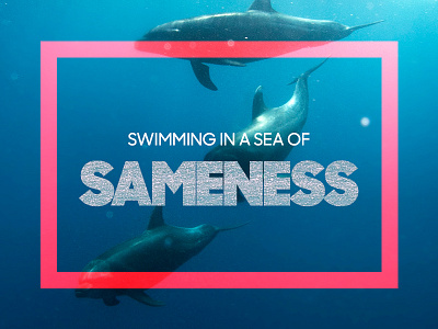 Swimming in a Sea of Sameness dolphins ocean sameness sea swimming typography