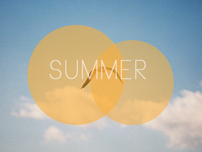 Summer beach bird circles film opacity photography summer type typeography