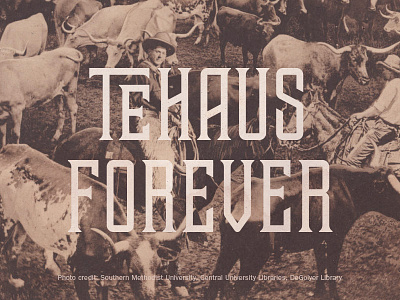 Tehaus Forever typography western