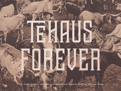 Tehaus Forever