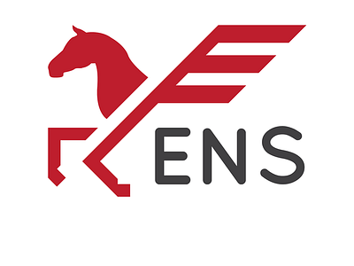 Airport logo airport e enschede horse logo pegasus quicksand twente