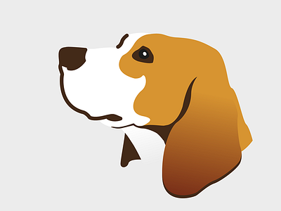 Beagle beagle dog