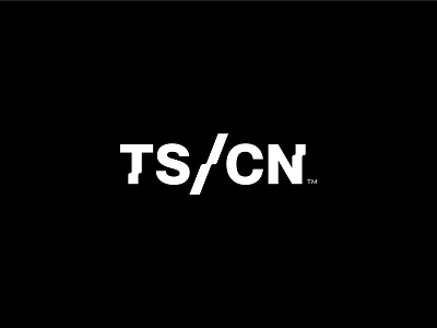 TS/CN Custom Typography branding clean letter logo logotype minimal simple typography