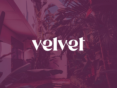 Velvet branding clean design logo logotype minimal simple typography
