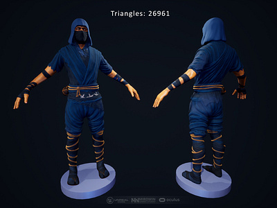 The ninja for VR