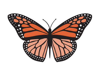 Monarch Butterfly butterfly graphic design illustration monarch orange