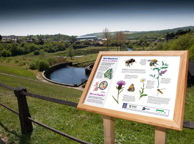 Interpretation Board design graphic design illustration large format print