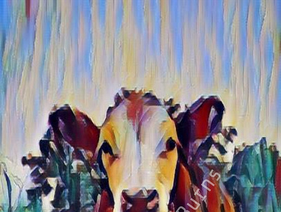 Moo