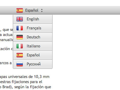 Language Selection (Stripe Flags)