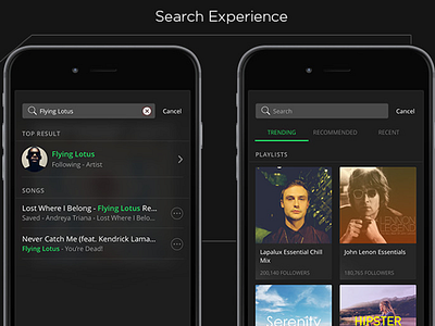 Spotify Persistent Search interaction design music player product design redesign search sketch3 spotify ui ux