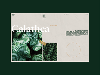 Plant Box Experimental No.1 clean green homepage interaction landing page layout minimal plant ui vietnam web design website