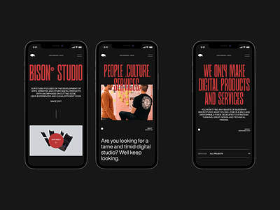 Bison Studio / Responsive adaptie app clean design grid layout minimal mobile phone responsive type typography ui vietnam web design website