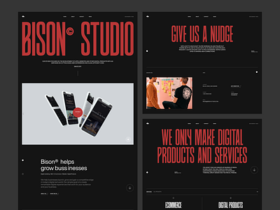 Bison Studio