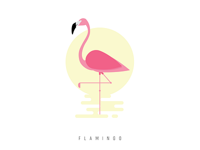 Flamingo